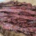 超市景区特产店热卖风干牛肉牛肉干巴