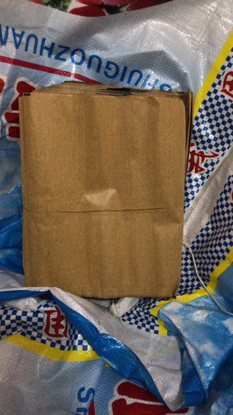 水果套袋，桃子袋，桃子套袋专用袋包桃子袋子桃子果袋桃袋