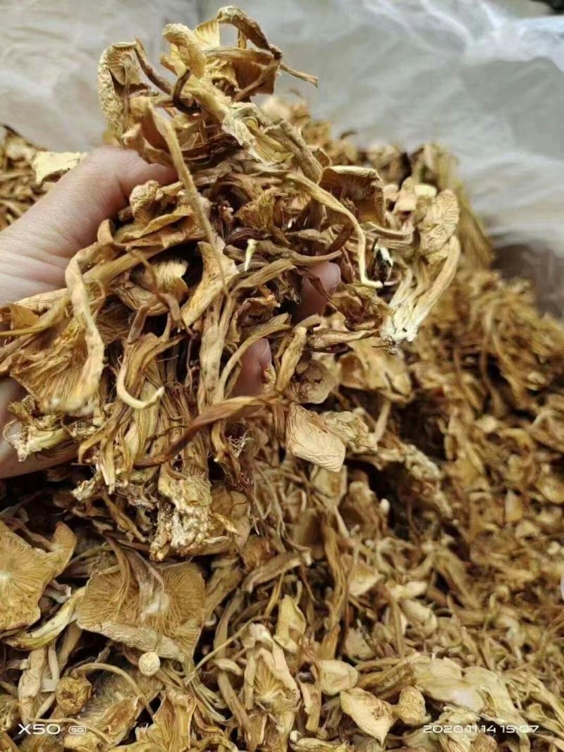 广昌4号茶树菇干货茶树菇特产店跑江湖热卖产品