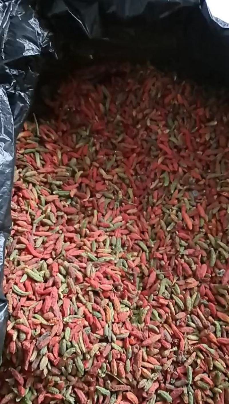 正宗枸杞子宁夏特级优500g免洗构杞茶中宁红枸杞男肾红苟