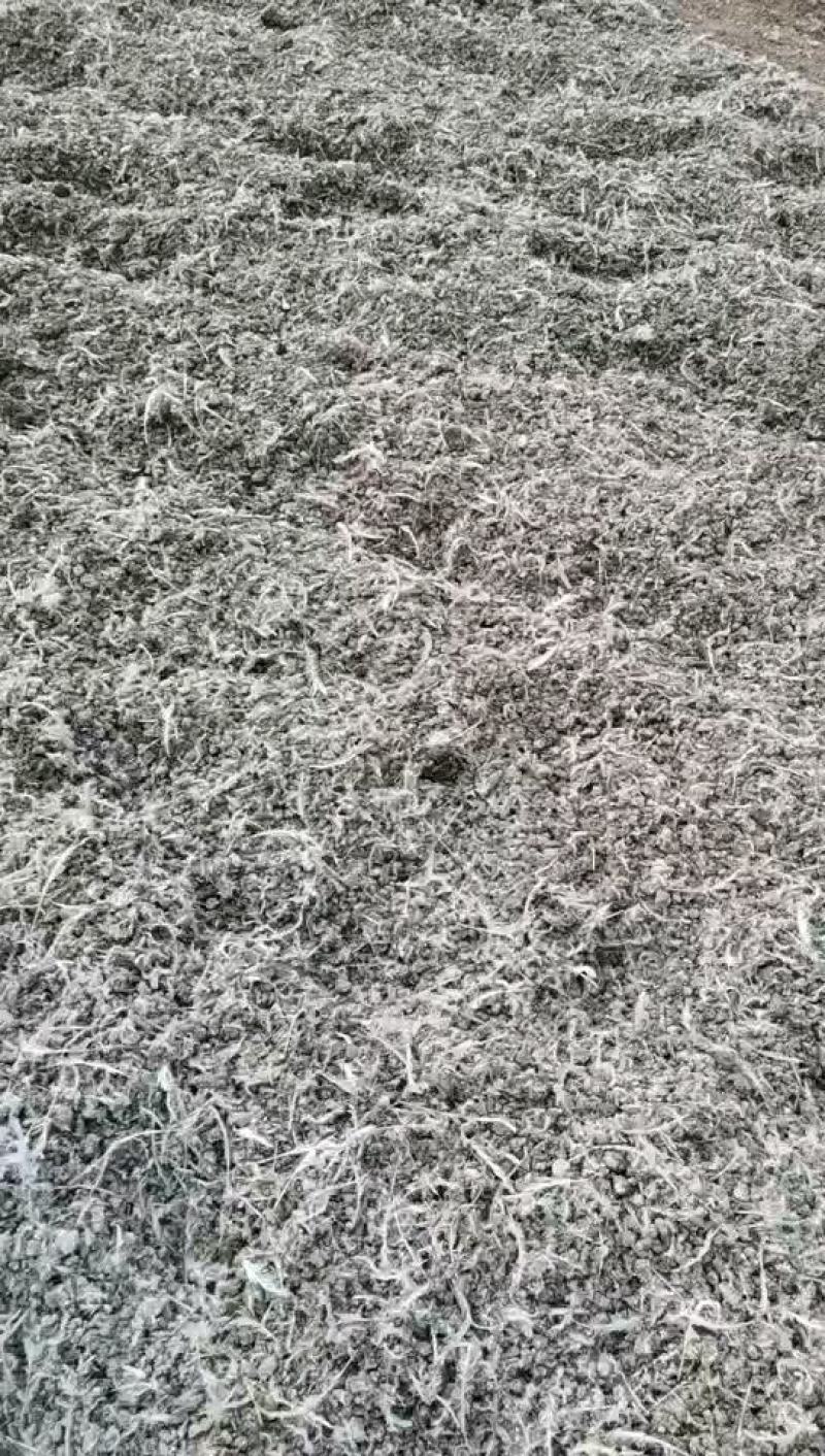 青年鸡小鸡粪，大量有货，量大从优欢迎联系