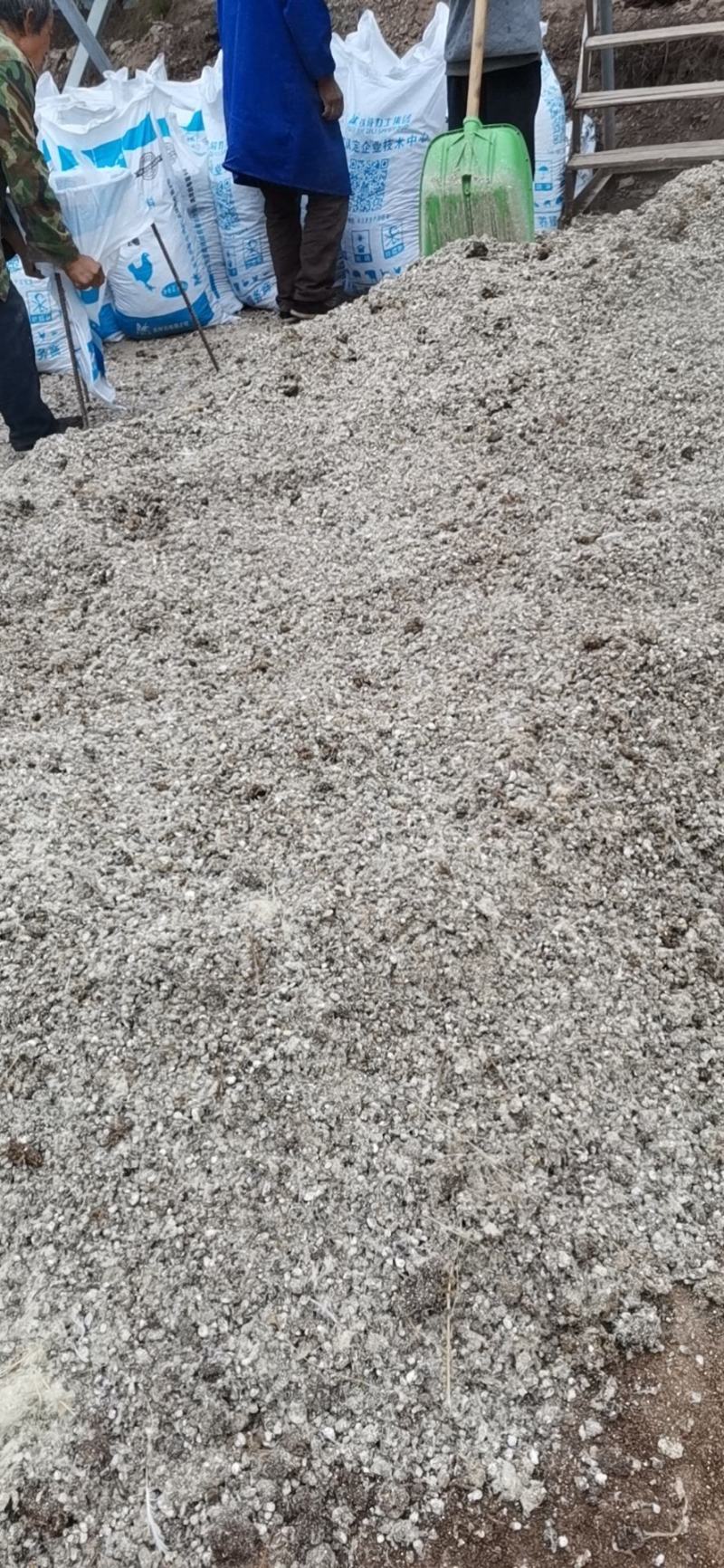 青年鸡小鸡粪，大量有货，量大从优欢迎联系