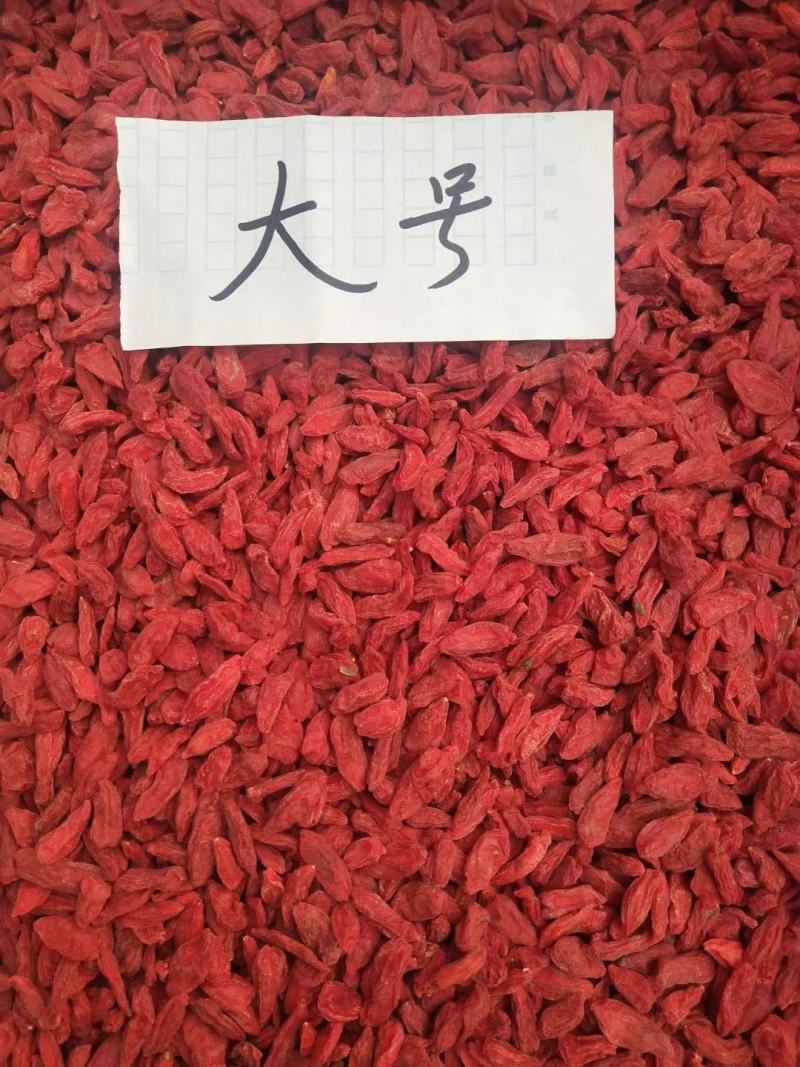 新品上市红枸杞大粒产地发货长白山枸杞子泡水泡茶