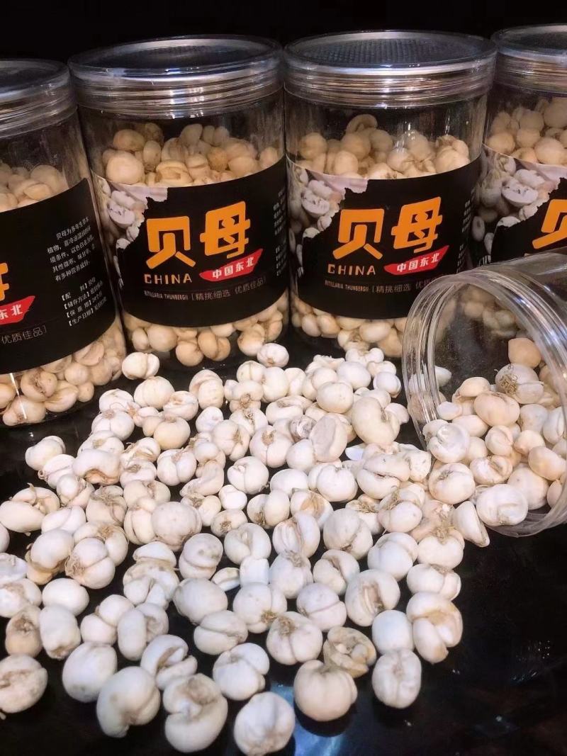 《包邮》长白山贝母吉林川贝母特产野生川贝母