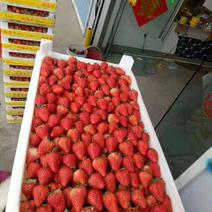 安徽省合肥市长丰草莓