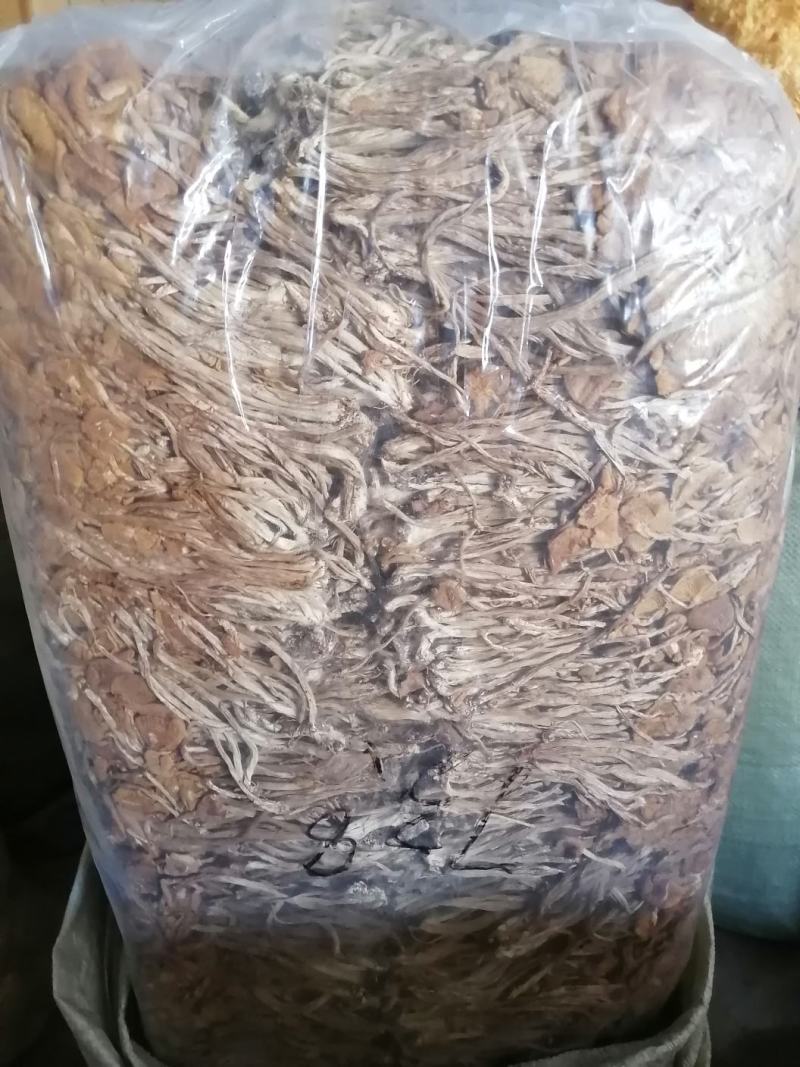 茶树菇可以干锅炖汤，炒菜清香脆爽老少皆宜。