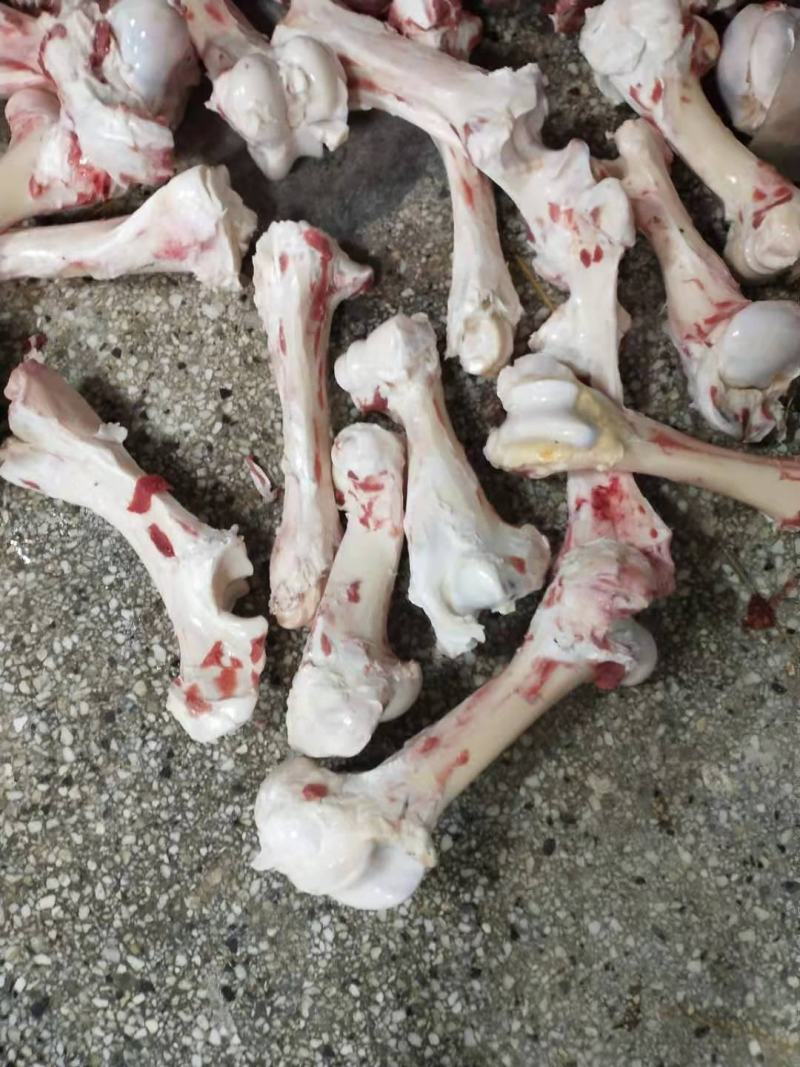 山东滨州清真国产全牛牛棒骨八棒熬汤专用棒骨