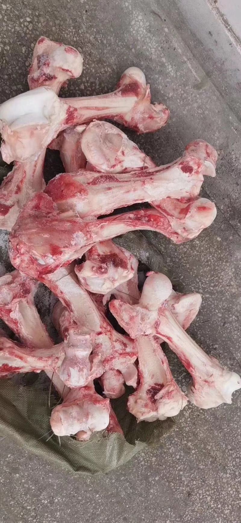 山东滨州清真国产全牛牛棒骨八棒熬汤专用棒骨