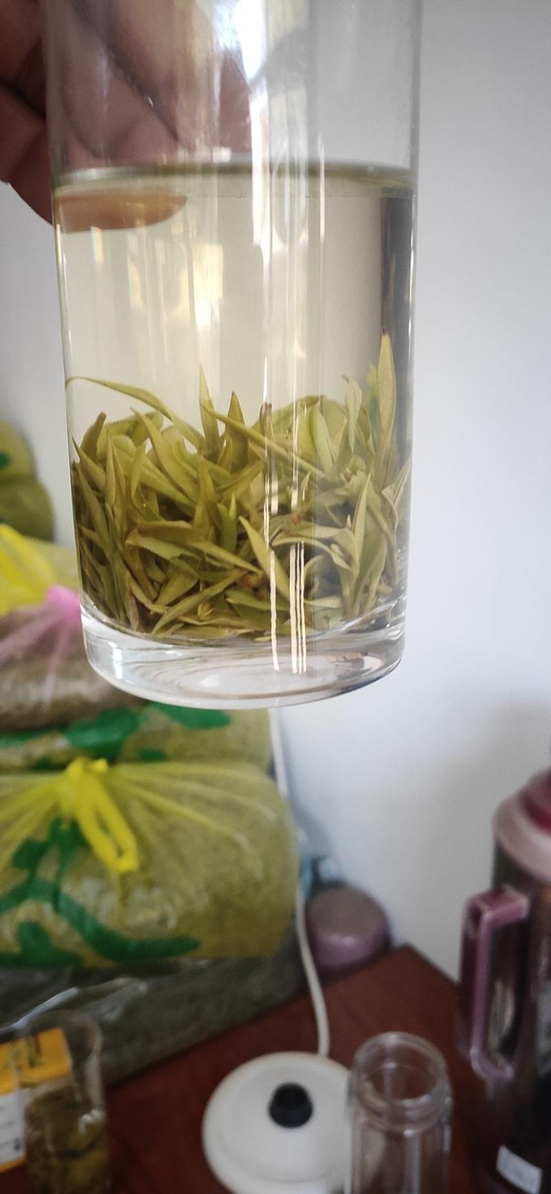 2023精品明前安吉白茶，黄金芽自产自销，一手货源买贵包
