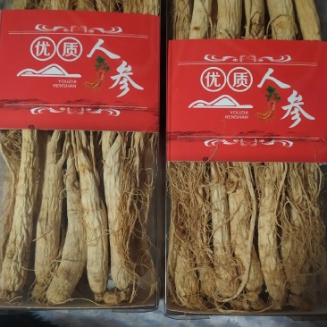 人参【火爆中】生晒白参长白山人参500g干货6年