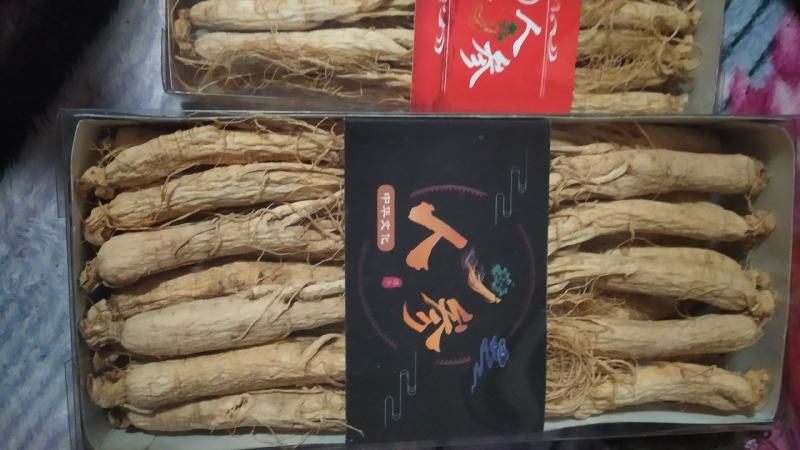 人参【火爆中】生晒白参长白山人参500g干货6年