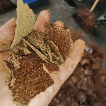 优质菜籽饼,质量好,水份低