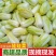 兰州，精品黄心娃娃菜，无烧心，无虫眼，无嘛点，颜色鲜嫩！