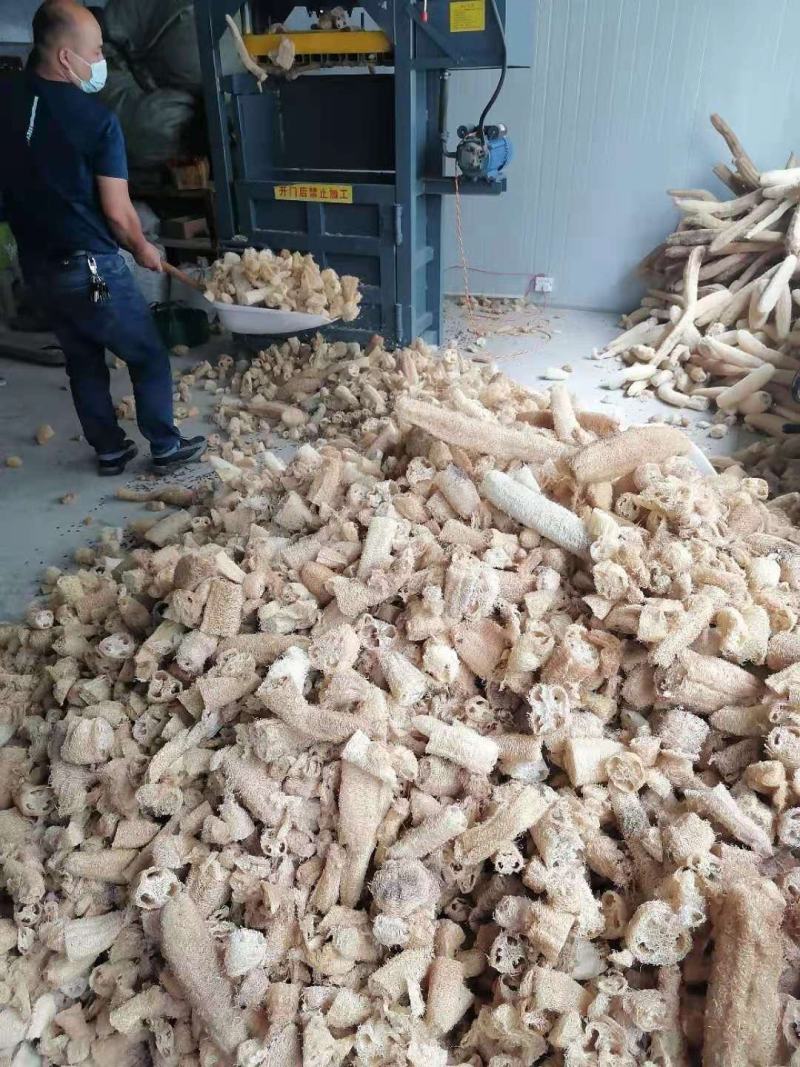 天然丝瓜络边角料丝瓜瓤丝瓜络中草药材丝瓜络边角料养花松土