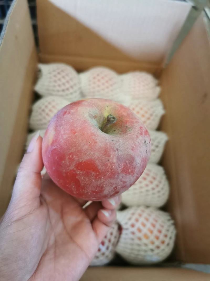 新疆阿克苏苹果，樱桃苹果