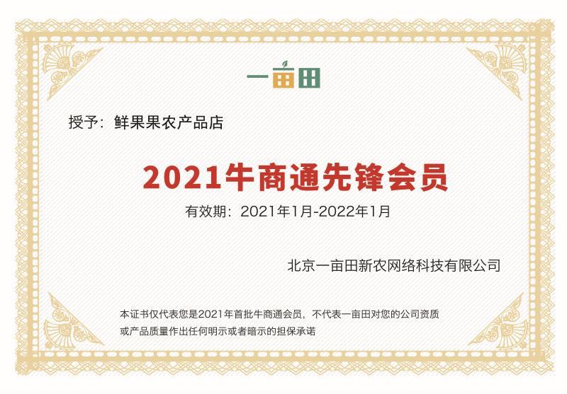 宁夏中卫硒砂瓜石缝瓜石头瓜金城5号10斤打底一条龙