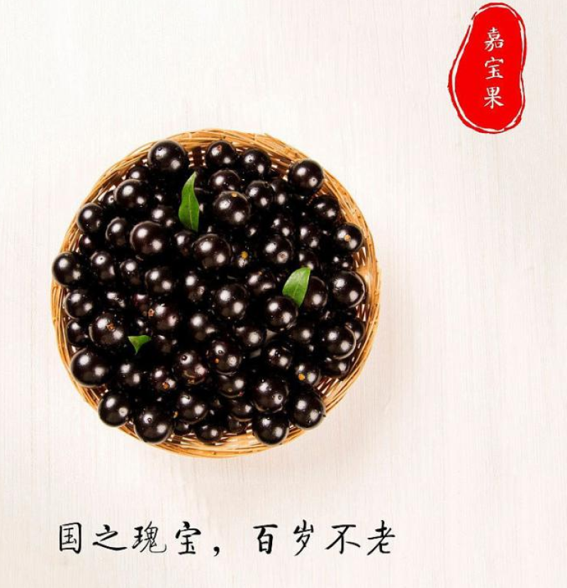 嘉宝果粒粒精选新鲜采摘基地直销价格优惠