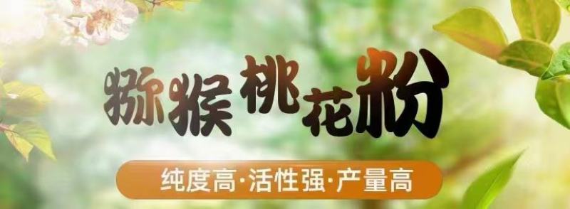 熊猫牌，天丰牌猕猴桃专用花粉等