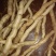 野生黄花倒水莲肉质根鲜货，叶子做茶下单现采。