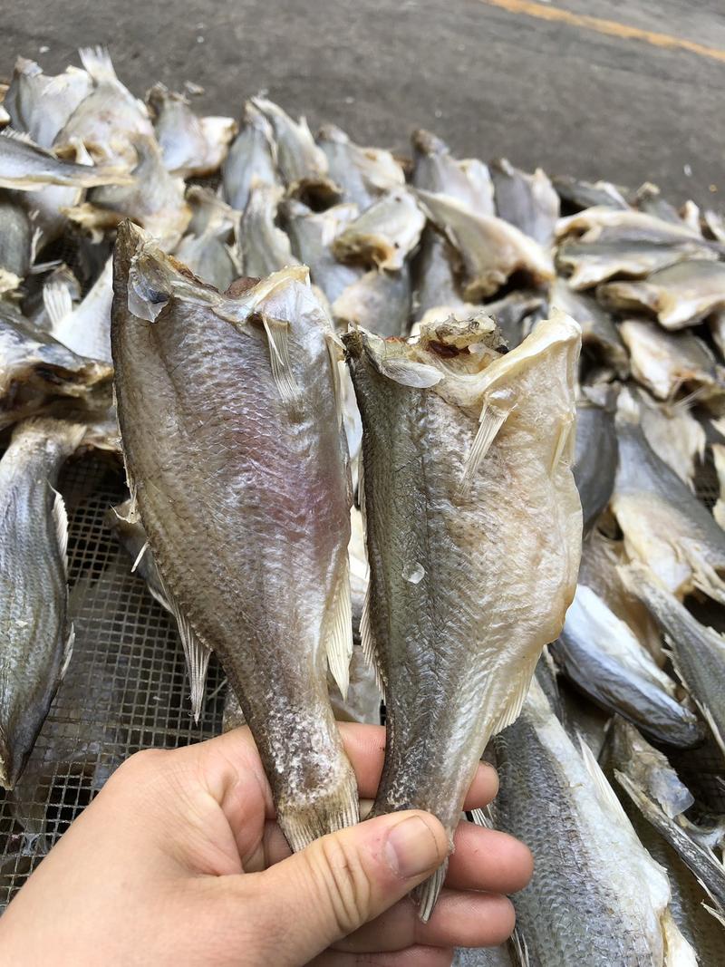 厂家货源淡水鱼去头加洲鲈鱼干新货大量上市批发价格便宜