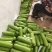 百亩精品瓠瓜蒲瓜白瓜大量供应，诚信合作量大从优。