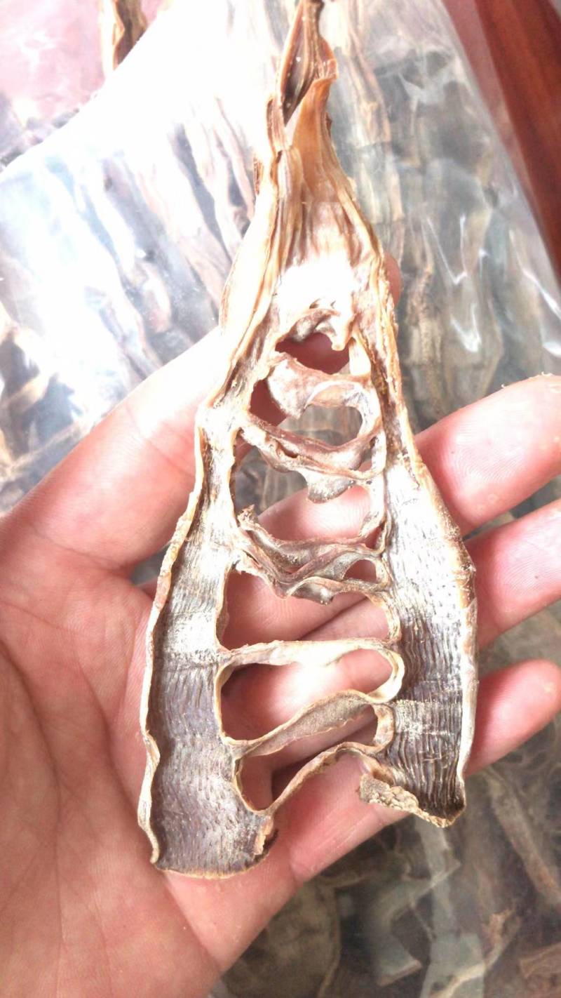 毛竹、楠竹春笋笋干，当季新货