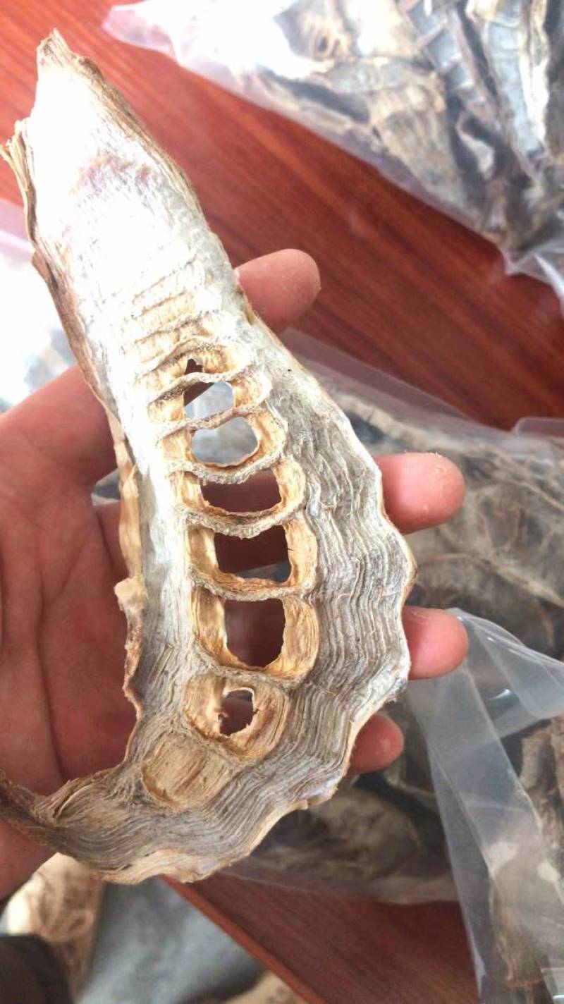 毛竹、楠竹春笋笋干，当季新货