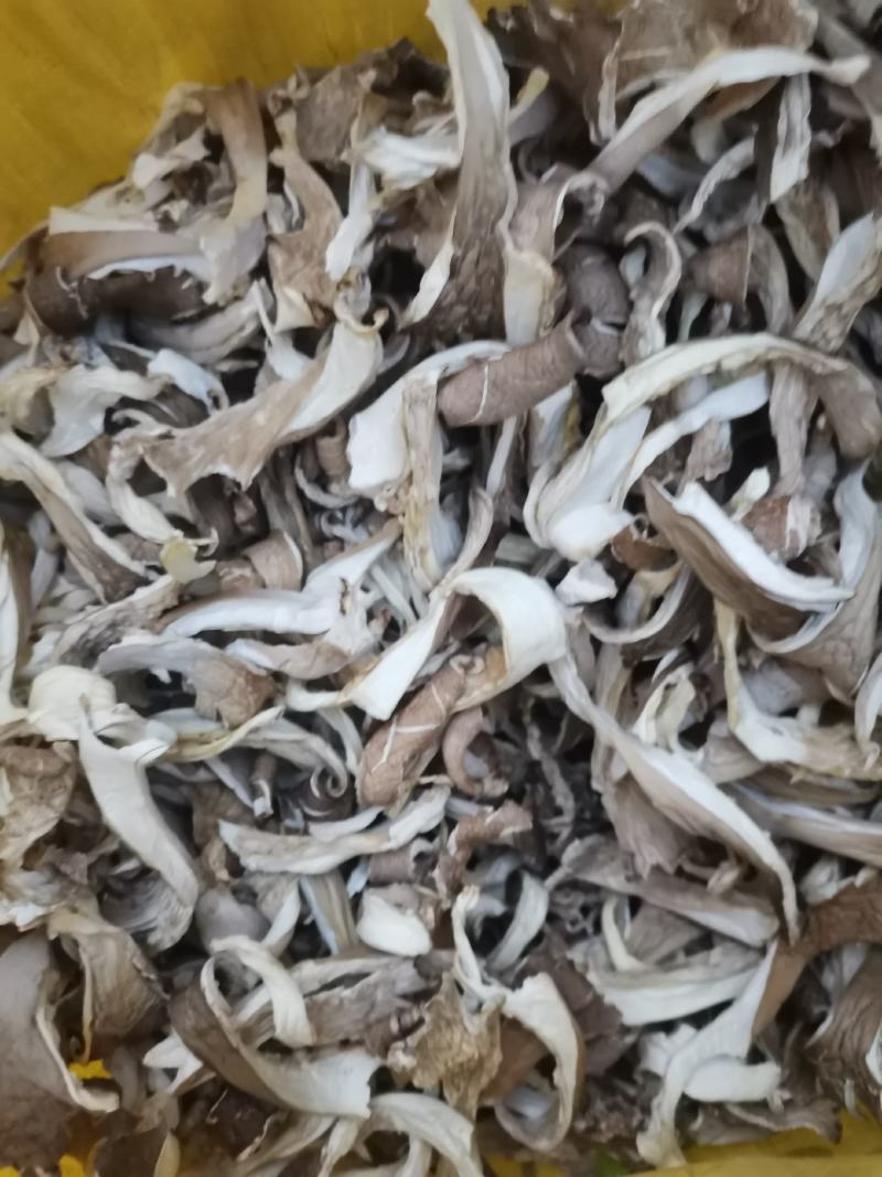 干平菇产地直发全国发货晒干烘干都有