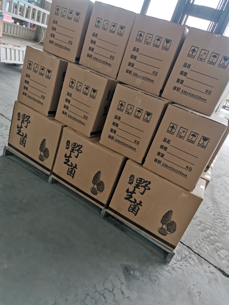 干平菇产地直发全国发货晒干烘干都有