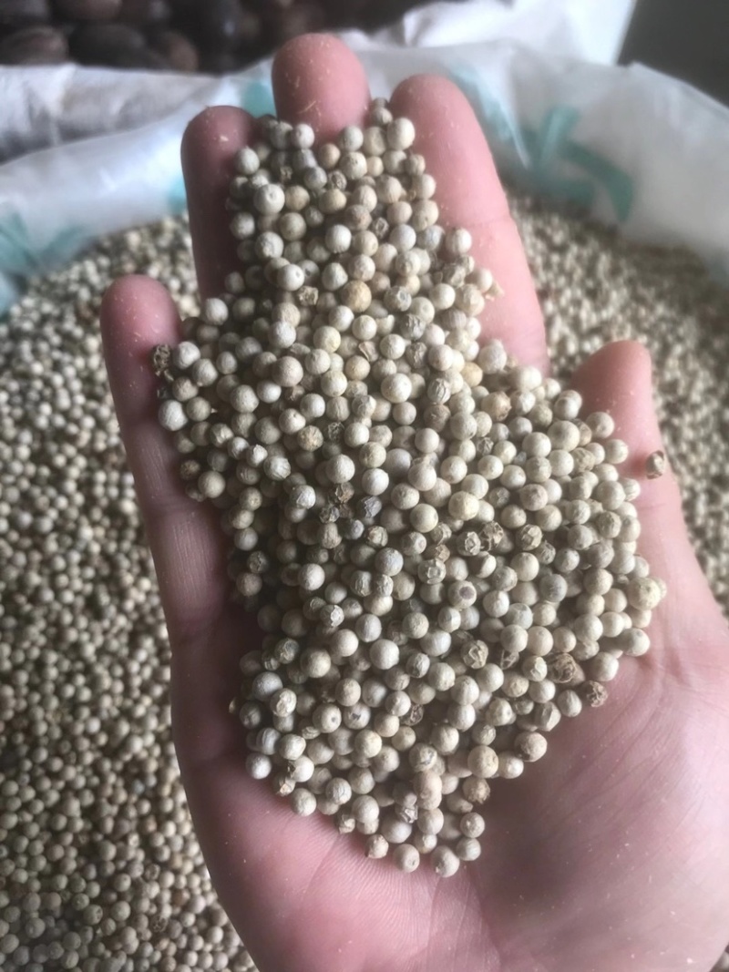 越南胡椒白胡椒海南产地批发价格
