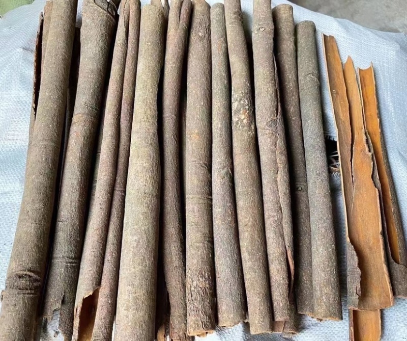 烟桂桂皮统货广西产地直销批发