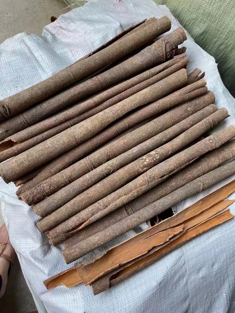 烟桂桂皮统货广西产地直销批发