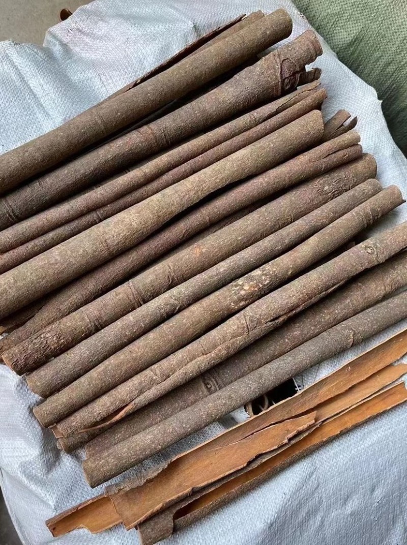 烟桂桂皮统货广西产地直销批发