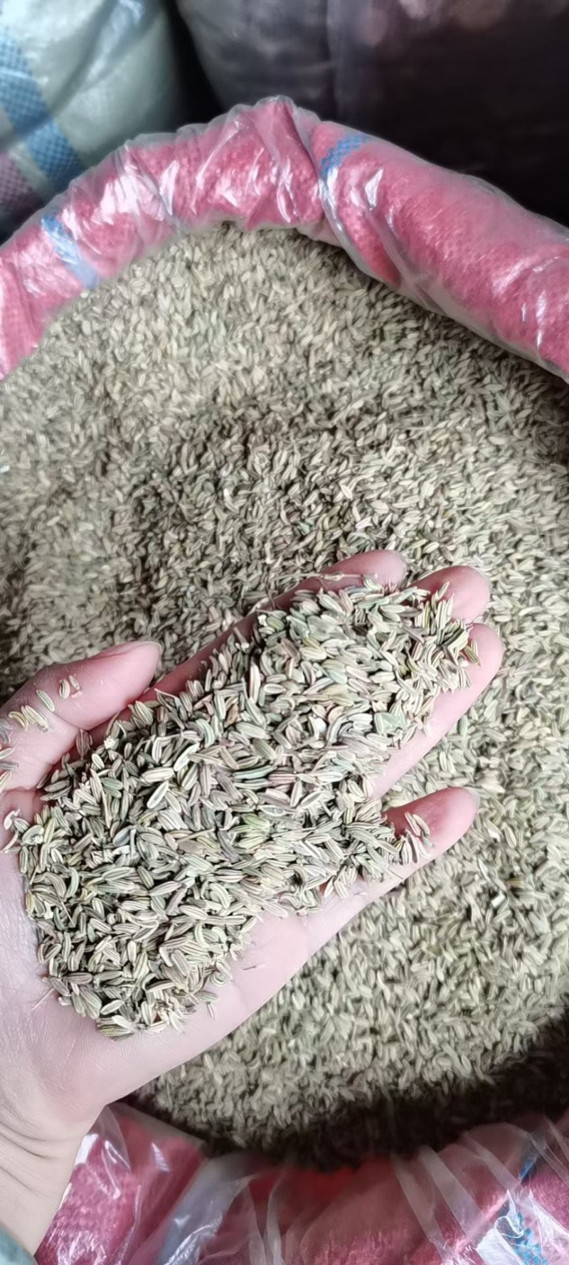 小茴香统货国产进口都有价格便宜批发