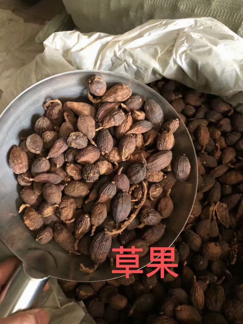 云南草果产地直销大量批发价格实惠