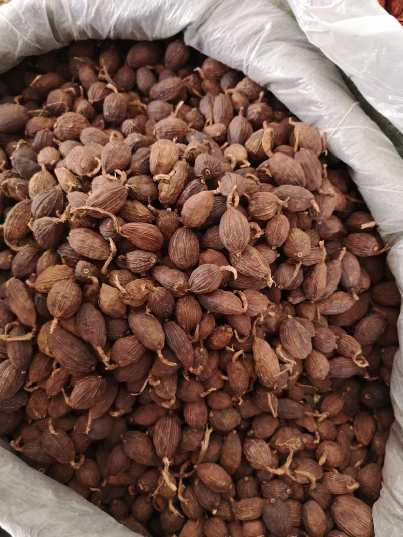 云南草果产地直销大量批发价格实惠