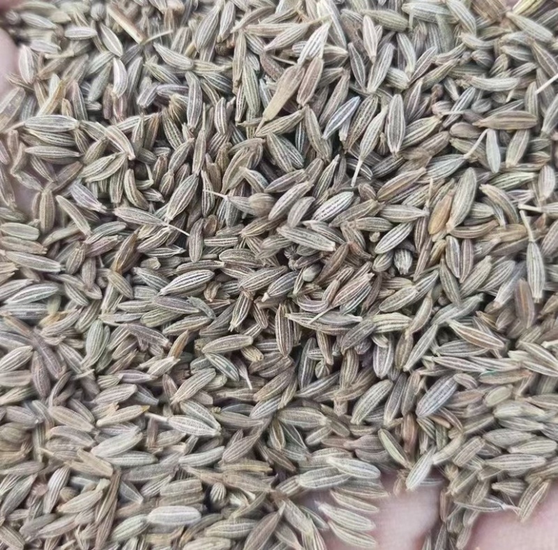 孜然孜然粉批发价格实惠