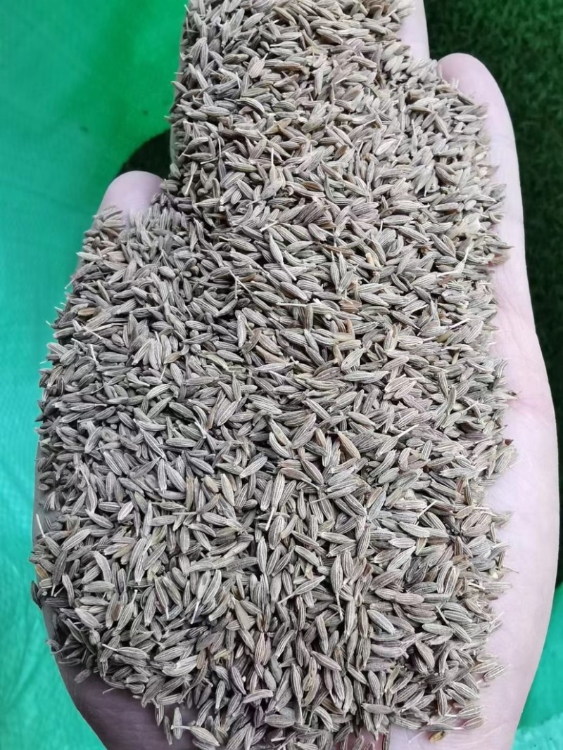 孜然孜然粉批发价格实惠