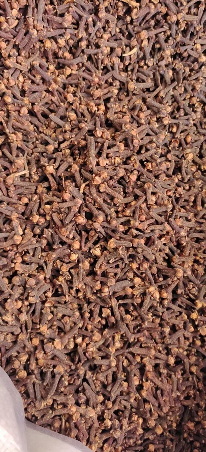 丁香批发价格食品厂等级