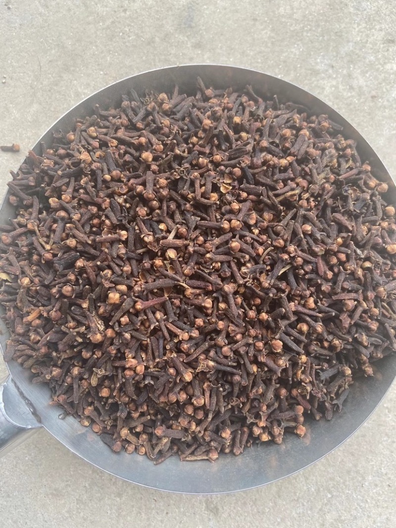 丁香批发价格食品厂等级