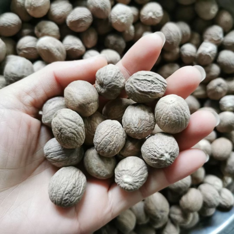 长香果圆香果批发价食品厂等级