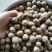 长香果圆香果批发价食品厂等级