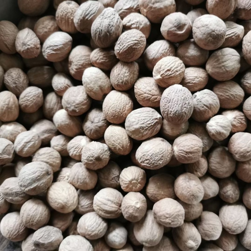 长香果圆香果批发价食品厂等级