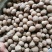 长香果圆香果批发价食品厂等级