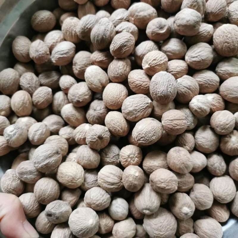 长香果圆香果批发价食品厂等级