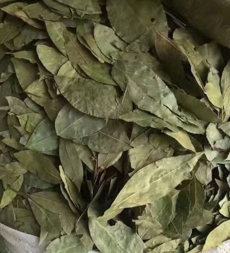 香叶进口批发价食品厂等级
