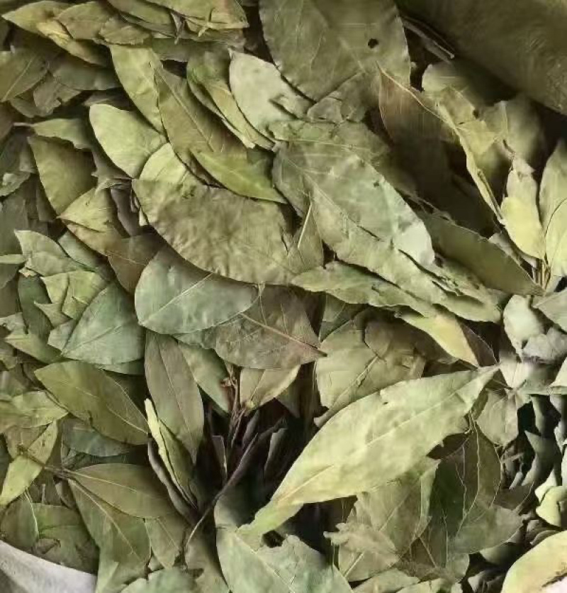 香叶进口批发价食品厂等级