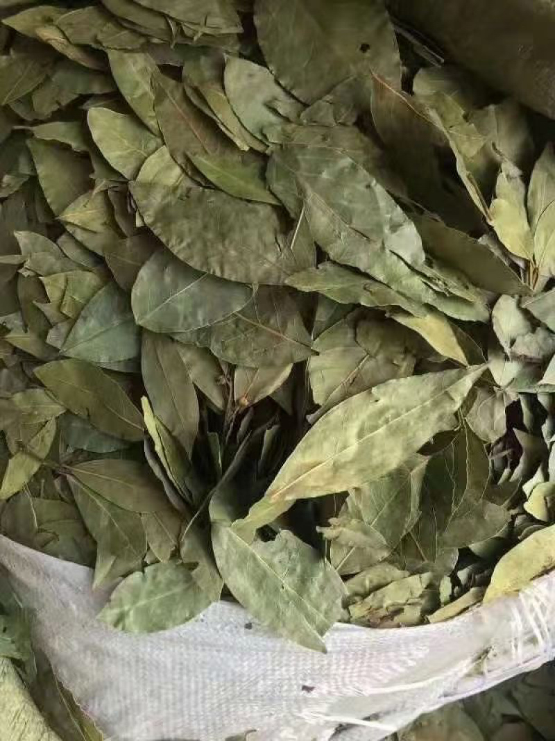 香叶进口批发价食品厂等级