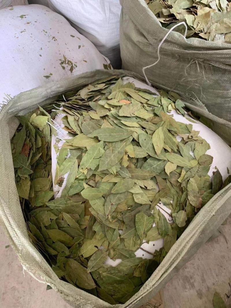 香叶进口批发价食品厂等级
