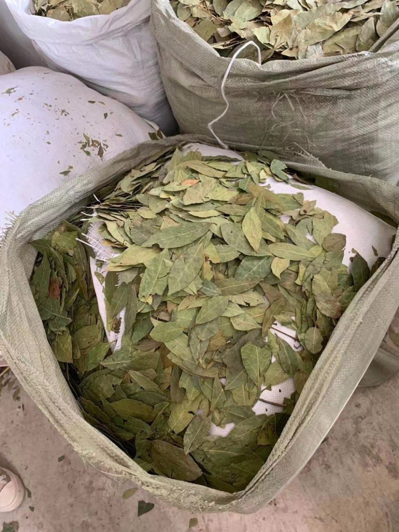 香叶进口批发价食品厂等级